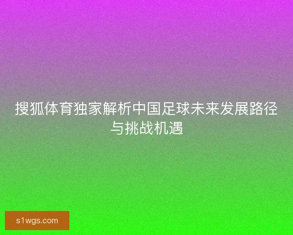 搜狐体育独家解析中国足球未来发展路径与挑战机遇