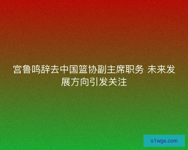 宫鲁鸣辞去中国篮协副主席职务 未来发展方向引发关注